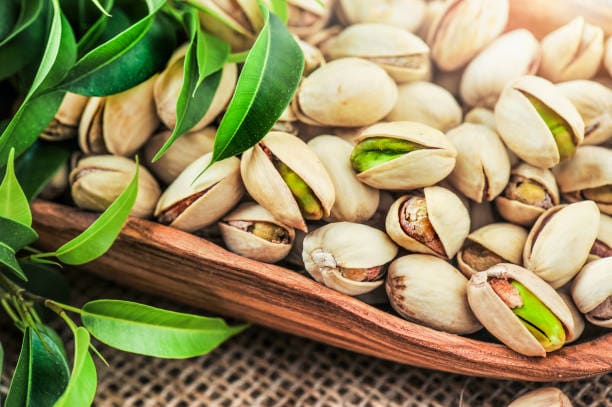 تصویر 3 از قیمت پسته کوهی جنوب با کیفیت ارزان + خرید عمده
